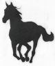 Naklejka na samochód - galop front