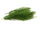 EQUIHERBS Skrzyp polny 