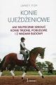 big_Konie-ujezdzeniowe.jpg