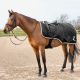 HORZE Derka treningowa WeatherTrek 420D