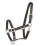 501505-PON _0.jpg