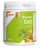 DOLFOS Horsemix Colt 500g