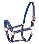 5049905-PON_3.png