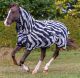 Buzz-Off-Zebra-and-mask-16145.jpg