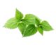 EQUIHERBS Pokrzywa zwyczajna 