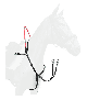 8105101-1_1_zoom.png