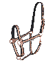 5048801-PON_4.png