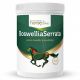 HorseLine-BoswelliaSeratta.png